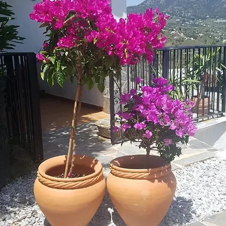 Casa Ana Frigiliana Torrox