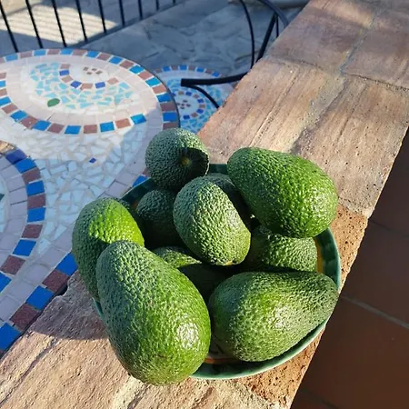 Casa Ana Frigiliana Prázdninový dům Torrox